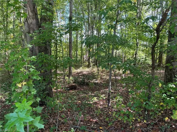 5083 Donna Marie CT, Walkertown, NC 27051