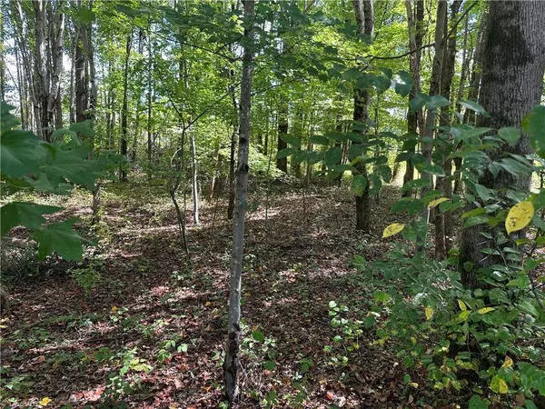 5083 Donna Marie CT, Walkertown, NC 27051