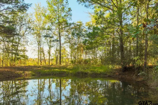 19151 CR 437, Lindale, TX 75771