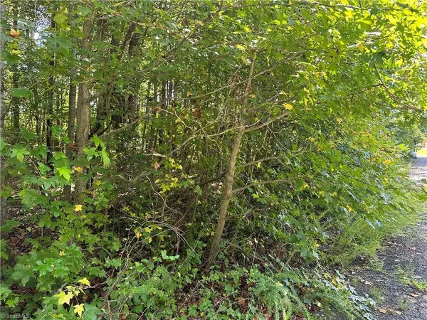 5087 Donna Marie CT, Walkertown, NC 27051