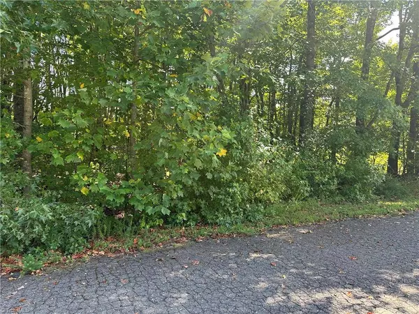 5083 Donna Marie CT, Walkertown, NC 27051