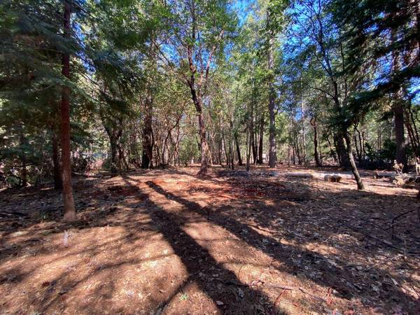 5607 Cold Springs DR, Foresthill, CA 95631