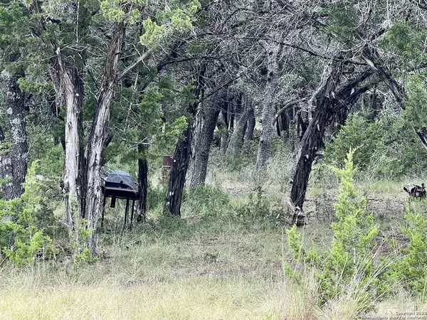 LOT 29 Deer Oaks Dr, Lakehills, TX 78003