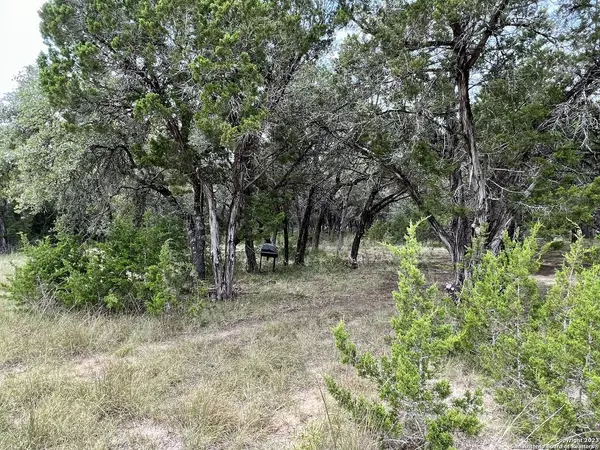 LOT 29 Deer Oaks Dr, Lakehills, TX 78003