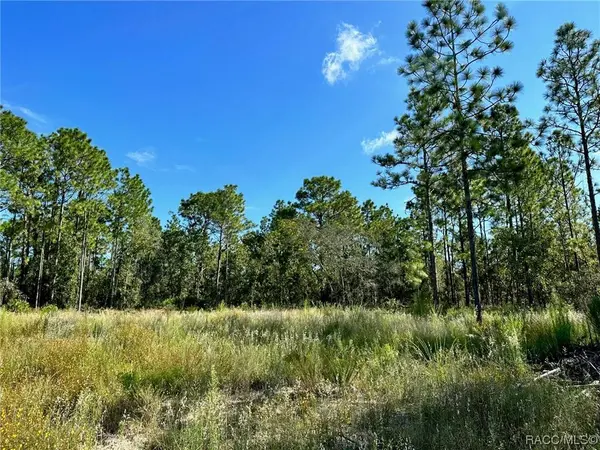 21 Pagoda DR, Homosassa, FL 34446