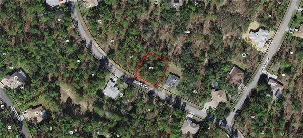 21 Pagoda DR, Homosassa, FL 34446