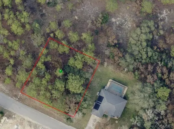 21 Pagoda DR, Homosassa, FL 34446