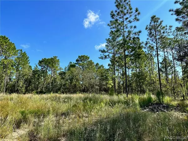 21 Pagoda DR, Homosassa, FL 34446