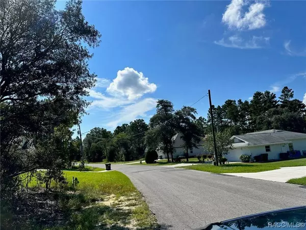 21 Pagoda DR, Homosassa, FL 34446