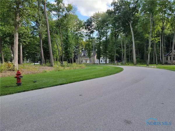 11154 Preserve BLVD, Whitehouse, OH 43571