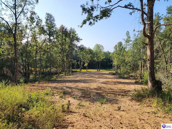 Lot 0 Kefauver Road, Leitchfield, KY 42754