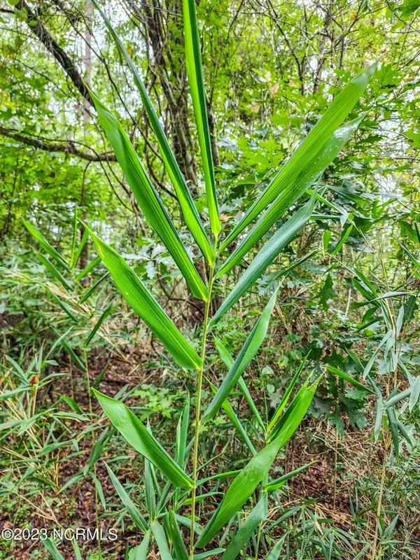 51 Stapleford Road, New Bern, NC 28560