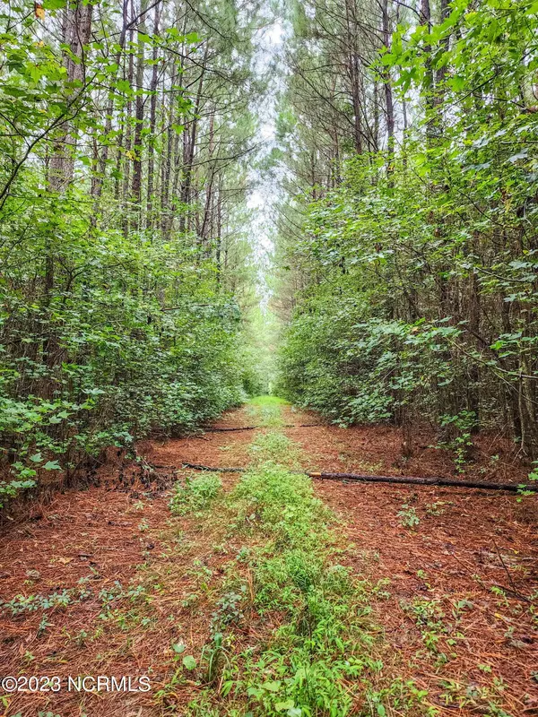 51 Stapleford Road, New Bern, NC 28560