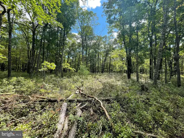 PEAR LN #LOT 16, Albrightsville, PA 18210