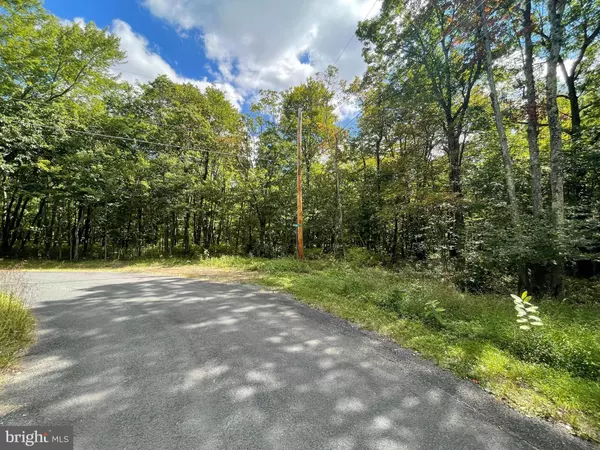 PEAR LN #LOT 16, Albrightsville, PA 18210