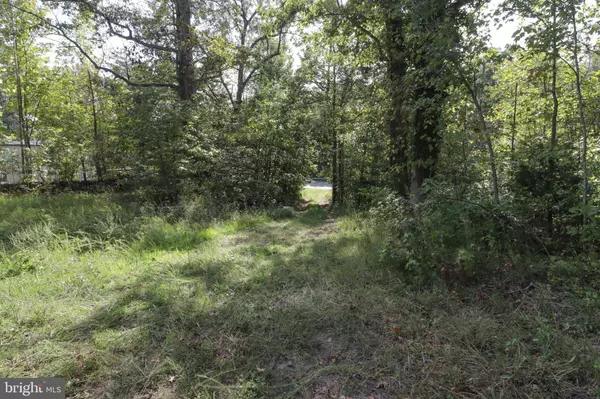 680 CAMBRIDGE ST, Fredericksburg, VA 22405