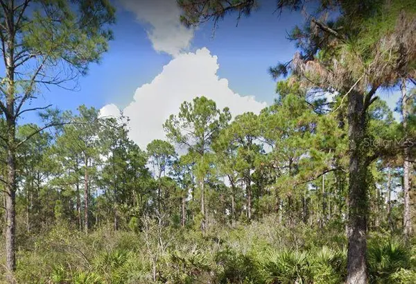 PLUMOSA DR, Indian Lake Estates, FL 33855