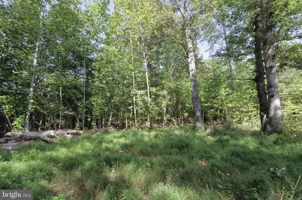 680 CAMBRIDGE ST, Fredericksburg, VA 22405