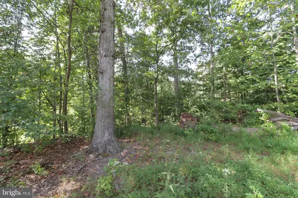 680 CAMBRIDGE ST, Fredericksburg, VA 22405