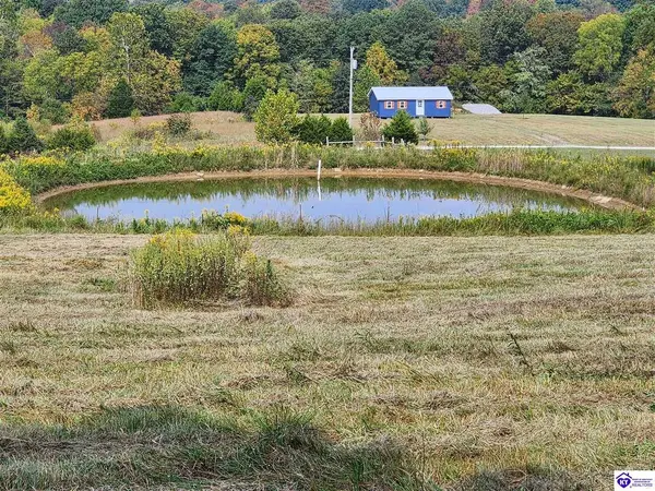318 Delmer Drive, Leitchfield, KY 42754