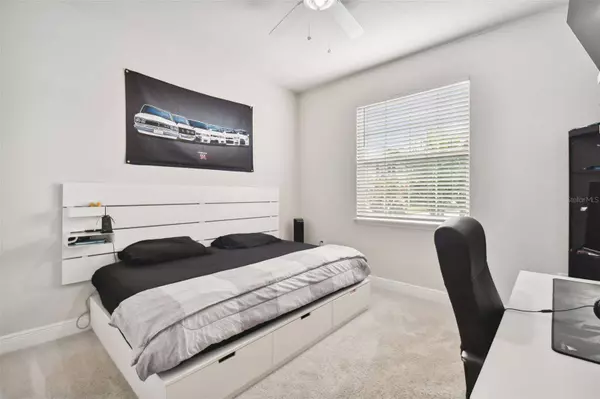 8303 PRAISE DR, Tampa, FL 33625