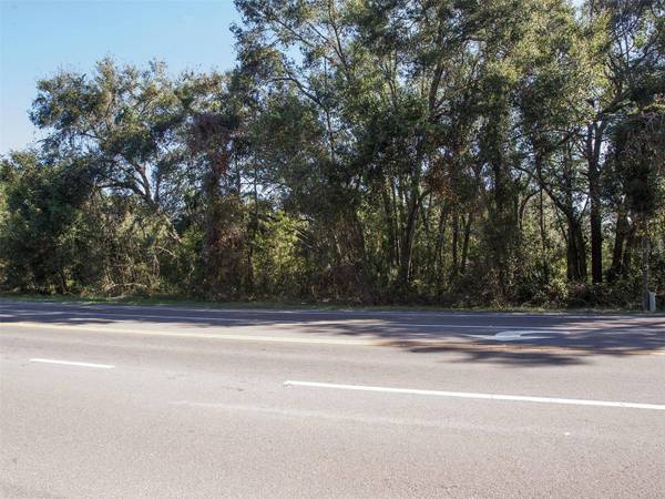 SORRENTO AVE, Sorrento, FL 32776