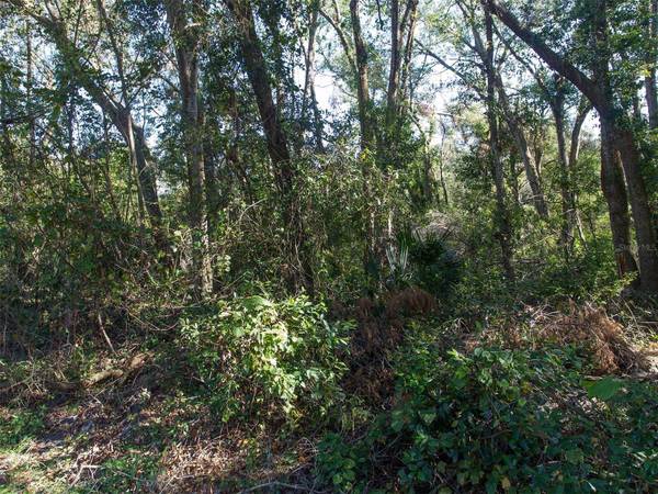 SORRENTO AVE, Sorrento, FL 32776