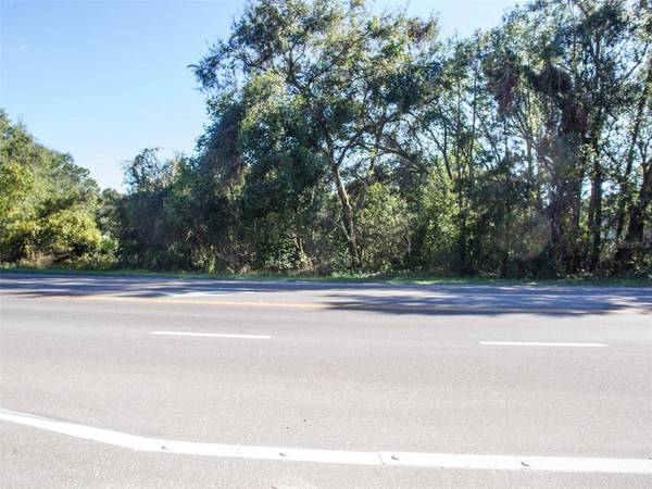 SORRENTO AVE, Sorrento, FL 32776