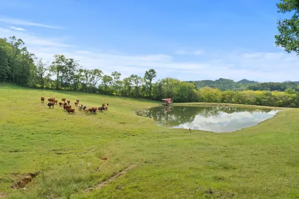 143 Hickman Creek Rd #S, Hickman, TN 38567