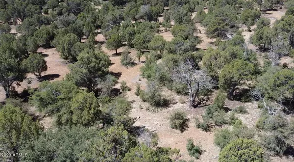 6317 GARDENIA Lane #2, Show Low, AZ 85901