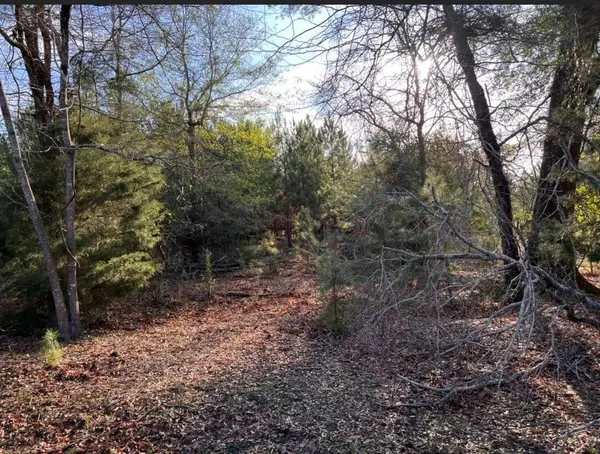 108 ACR 112, Elkhart, TX 75389