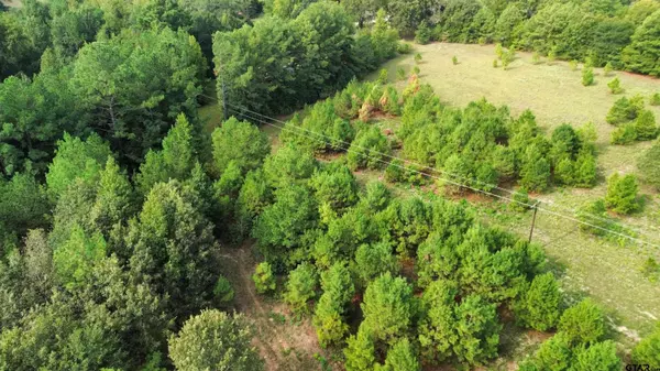 TBD Lot 2 FM 2015, Tyler, TX 75706