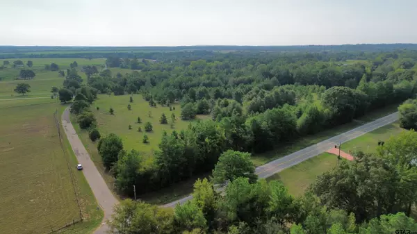 TBD Lot 3 FM 2015, Tyler, TX 75706