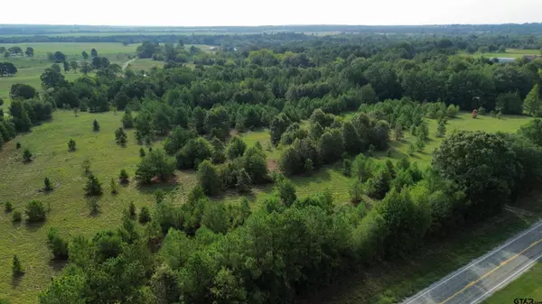 TBD Lot 1 FM 2015, Tyler, TX 75706