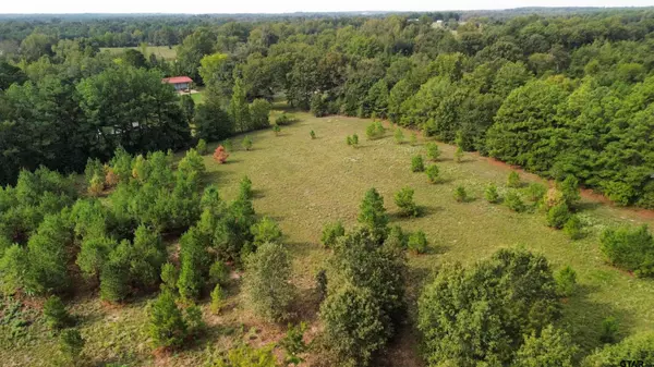 TBD Lot 1 FM 2015, Tyler, TX 75706