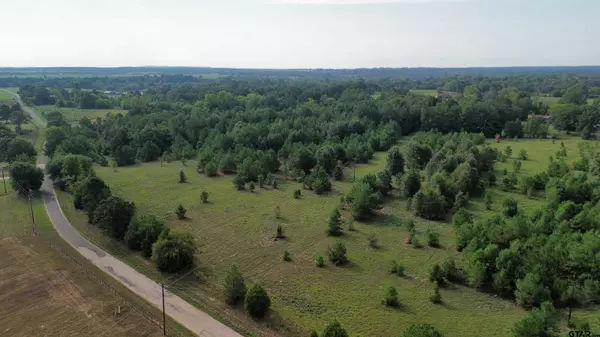 TBD Lot 1 FM 2015, Tyler, TX 75706