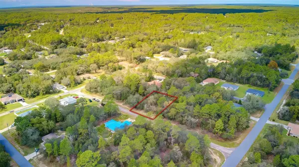 2967 W ECHO PL, Citrus Springs, FL 34433