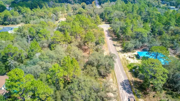 2967 W ECHO PL, Citrus Springs, FL 34433