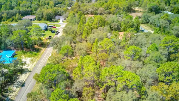 2967 W ECHO PL, Citrus Springs, FL 34433