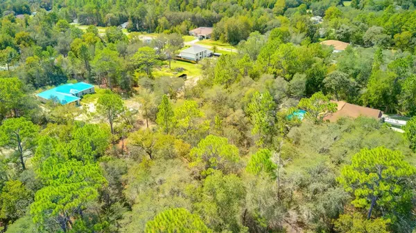 2967 W ECHO PL, Citrus Springs, FL 34433