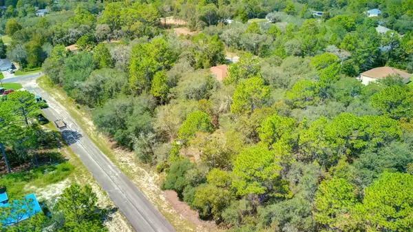 2967 W ECHO PL, Citrus Springs, FL 34433