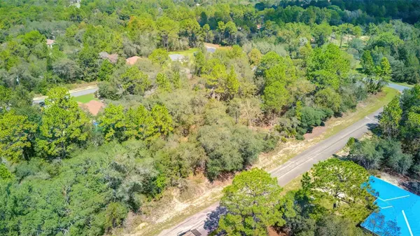 2967 W ECHO PL, Citrus Springs, FL 34433