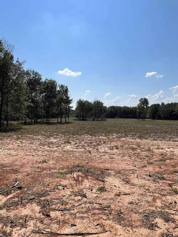 0 Arp Dr, Troup, TX 75789