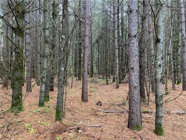 Lot 5 Indian Trail Road, Hayward, WI 54843