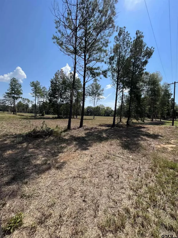 0 Arp Dr, Troup, TX 75789