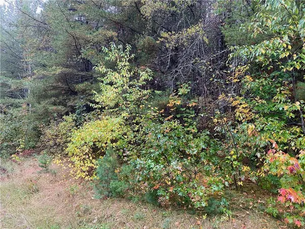 Lot 5 Indian Trail Road, Hayward, WI 54843