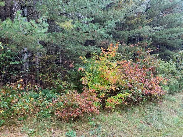 Lot 5 Indian Trail Road, Hayward, WI 54843