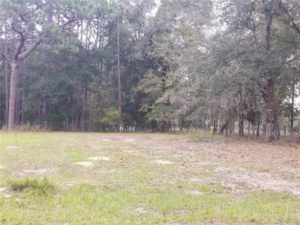 26016 ASH ST, Brooksville, FL 34601