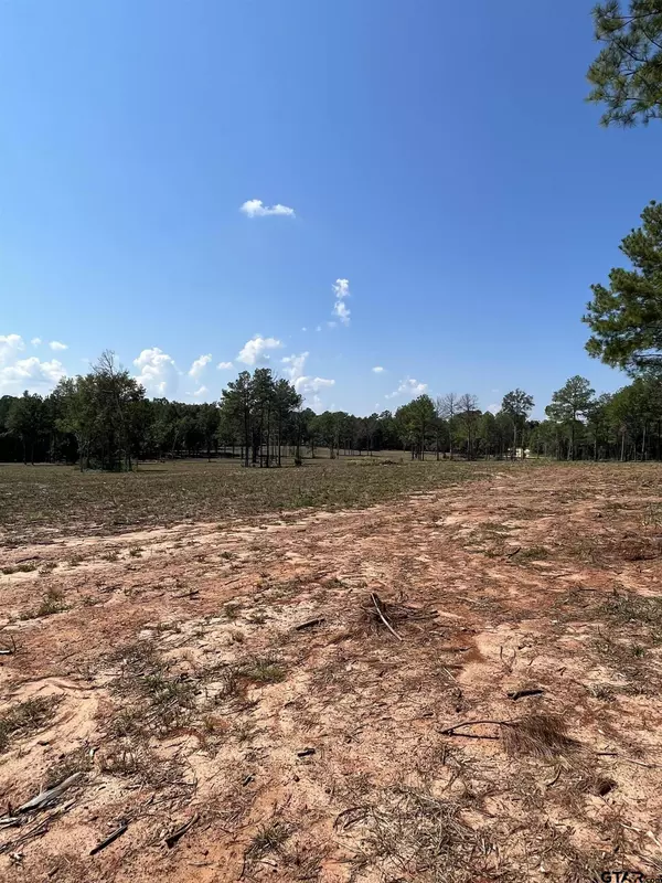 0 Arp Dr, Troup, TX 75789