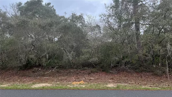 SW 176TH LOOP, Ocala, FL 34473